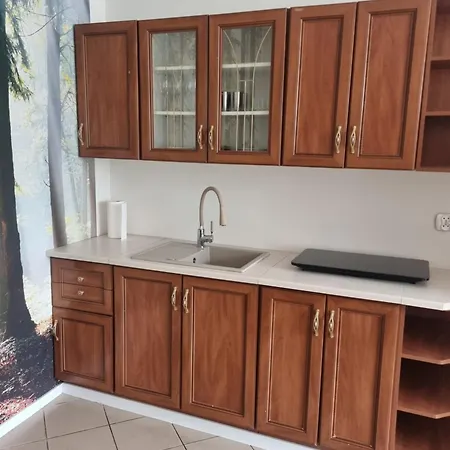 Apartment Kosynka Kosy