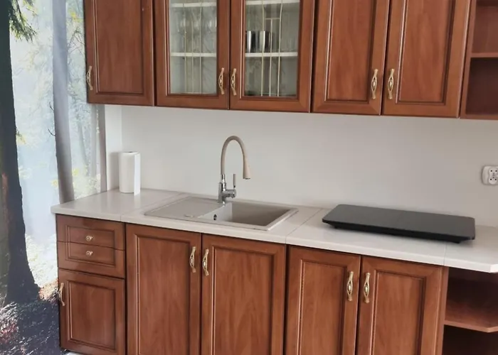 Apartment Kosynka Kosy